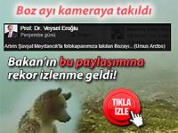 Bakan Eroğlu, hayran kaldığı boz ayı videosunu paylaştı
