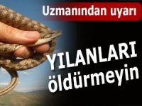 YILANLARI ÖLDÜRMEYELİM EFENDİLER!