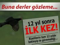 12 YIL SONRA İLK KEZ KENDİNİ GÖSTERDİ