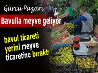 BAVUL TİCARETİNİN YERİNİ MEYVE TİCARETİ ALDI