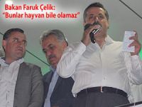 Bakan Faruk Çelik: “Bunlar hayvan bile olamaz”