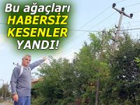 Elektrik şebekelerinin yanındaki ağaçları kesmeyin!