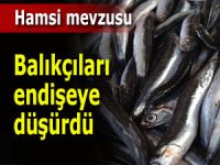 Hamsi avı balıkçılar için içler acısı