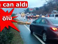 Çayeli’nde trafik kazası: 1 ölü