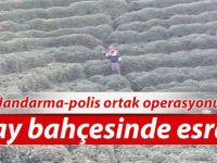 Rize'de jandarma-polis işbirliğiyle operasyon