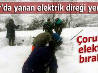 Pazar'da yanan elektrik direği yenilendi