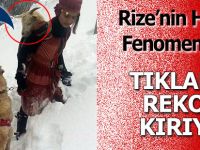 Rize’nin Heidisi bir anda fenomen oldu!