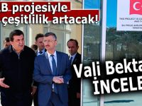 AB projesiyle çayda çeşitlilik artacak!