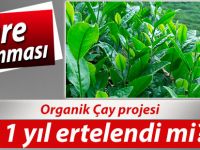 Organik Çay tepkilerine boyun mu eğildi?