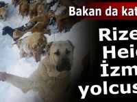 ‘Rizeli Heidi’ İzmir yolcusu