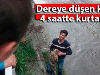 Dereye düşen köpeği 4 saatte kurtardılar