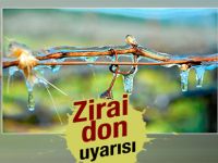 Meteorolojiden D. Karadeniz için zirai don uyarısı