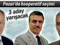 Pazar'da kooperatif seçiminde 3 aday yarışacak