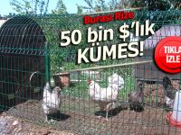 Rizeli başkanın 50 bin dolarlık kümesi!