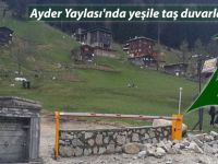 Ayder Yaylası'nda yeşile taş duvarla koruma!