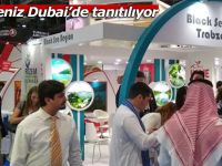 Doğu Karadeniz Dubai’de tanıtılıyor