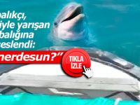 Balıkçı teknesiyle yarışan yunus balığı amatör kamerada