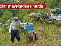 Arıcılar mevsimden umutlu