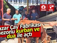 Pazar çay Fabrikası sezonu kurban ve dua ile açtı