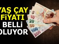 Çaykur'un yaş çay fiyatı Cuma günü belli oluyor