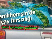 Çamlıhemşin’de çay alım yerinden çay hırsızlığı!