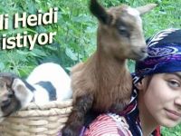 Rizeli 'Heidi' yol istiyor