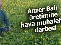 Anzer Balı üretimine hava darbesi