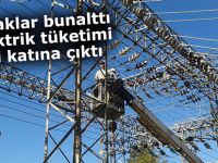 Sıcaklar bunalttı, elektrik tüketimi iki katına çıktı