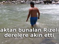 Sıcaktan bunalan Rizeliler derelere akın etti