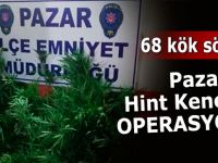 Pazar’da 68 kök Hint keneviri ele geçirildi