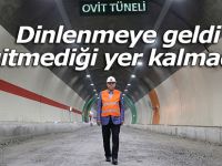 Dinlenmeye geldi, gitmediği yer kalmadı!