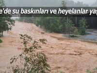 Rize'de su baskınları ve heyelanlar yaşanıyor