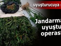 JANDARMADAN UYUŞTURUCU OPERASYONU