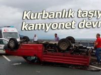 Çayeli'nde trafik kazası: 2 yaralı