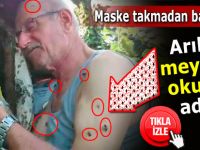 Maske takmadan bal sağıyor! Arılara meydan okuyan adam!