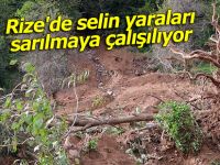 Rize'de selin yaraları sarılmaya çalışılıyor