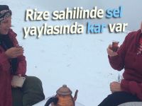 Rize'de sahilde şiddetli yağış, yaylalarda kar