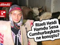 Hamdu Sena Cumhurbaşkanı ile ne konuştu?