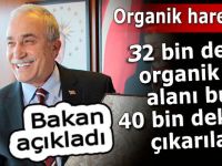 Bu yıl organik çayda 32 bin dekardan 40 bin dekara geçilecek