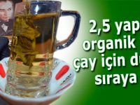 2,5 yapraklı organik yeşil çay için dünya sıraya girdi