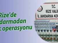 Rize'de Jandarmadan kaçak operasyonu