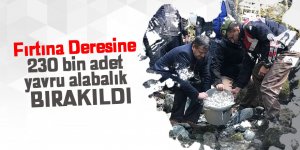 Fırtına Deresine 230 bin yavru alabalık bırakıldı