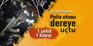 Aracı kovalayan polis otosu dereye uçtu