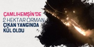 Çamlıhemşin'de orman yangını