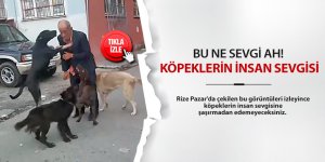 Bu da köpeklerin insan sevgisi!