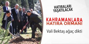 Kahramanlar için hatıra ormanı