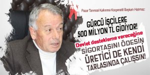 Çay üreticisinin 500 milyon parası Gürcistan'a gidiyor!