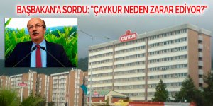 Çaykur neden zarar ediyor?