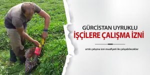 Gürcistan uyruklu vatandaşlar için çalışma izni