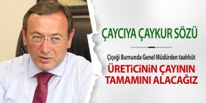 Çaykur'dan çaycıyı rahatlatacak taahhüt: "Üreticilerin çayının tamamını alacağız"